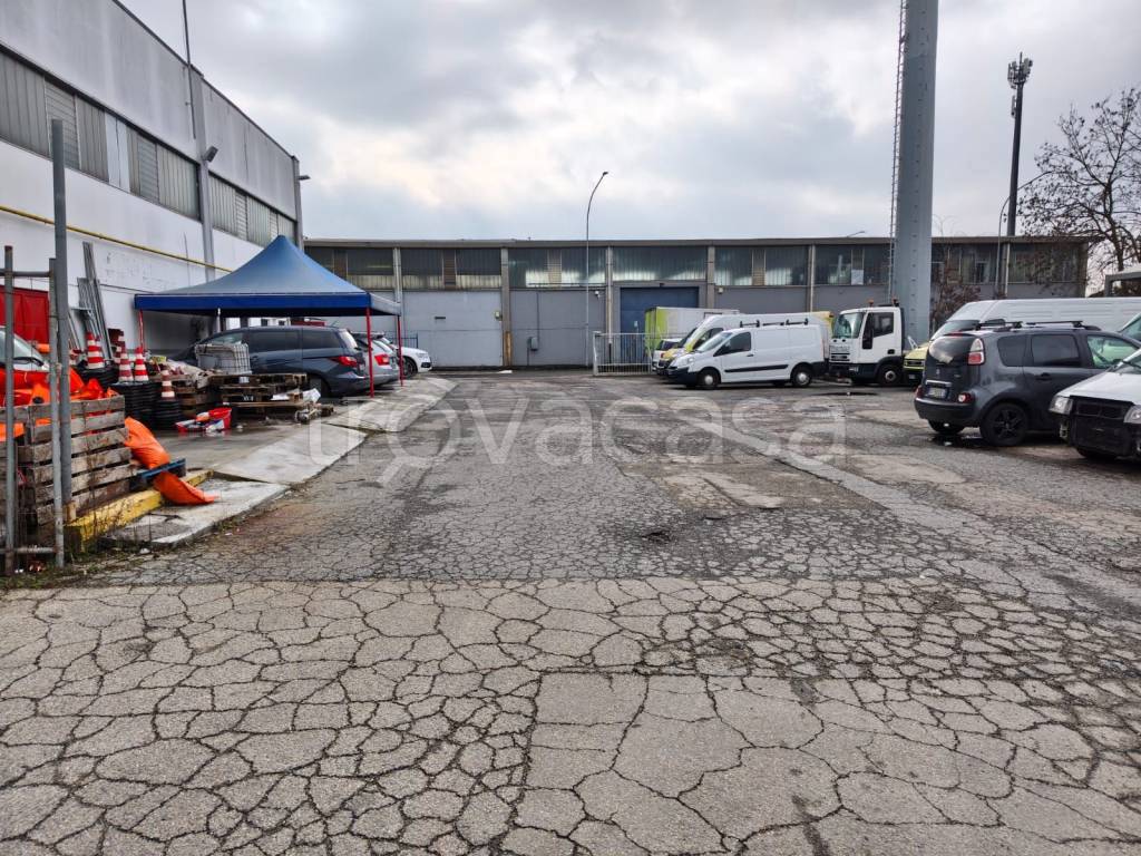 immagine annuncio 4 di 15