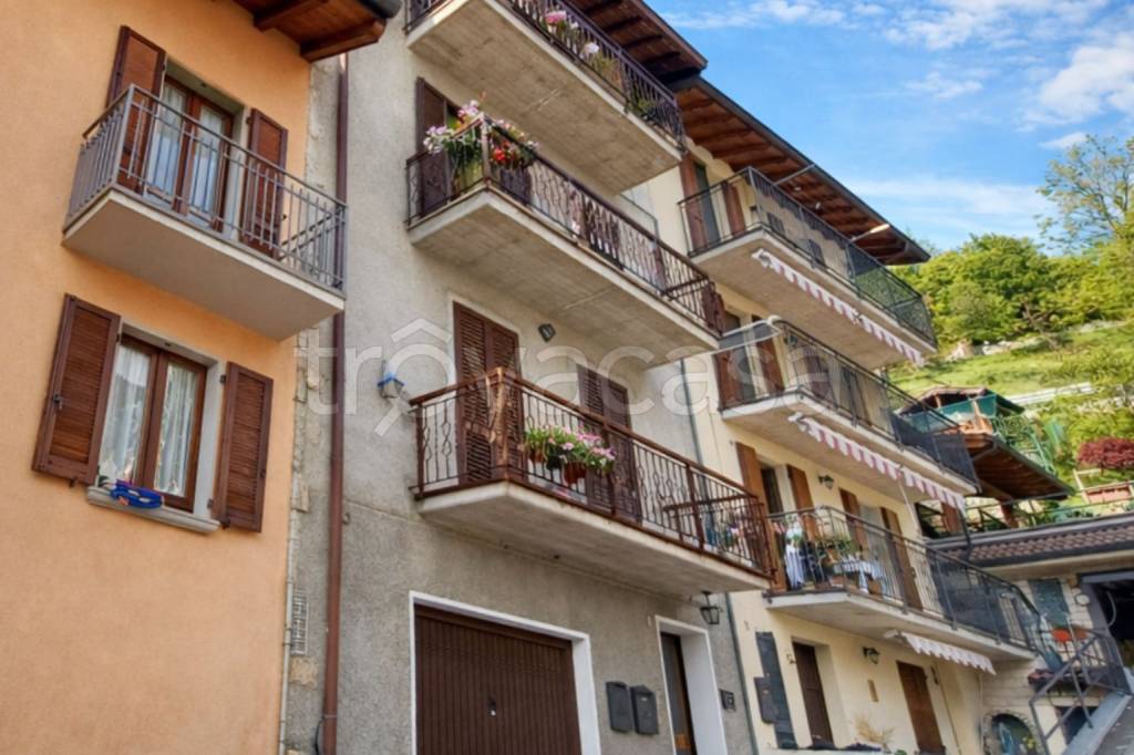 immagine annuncio 2 di 6