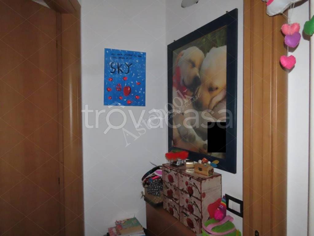 immagine annuncio 7 di 9