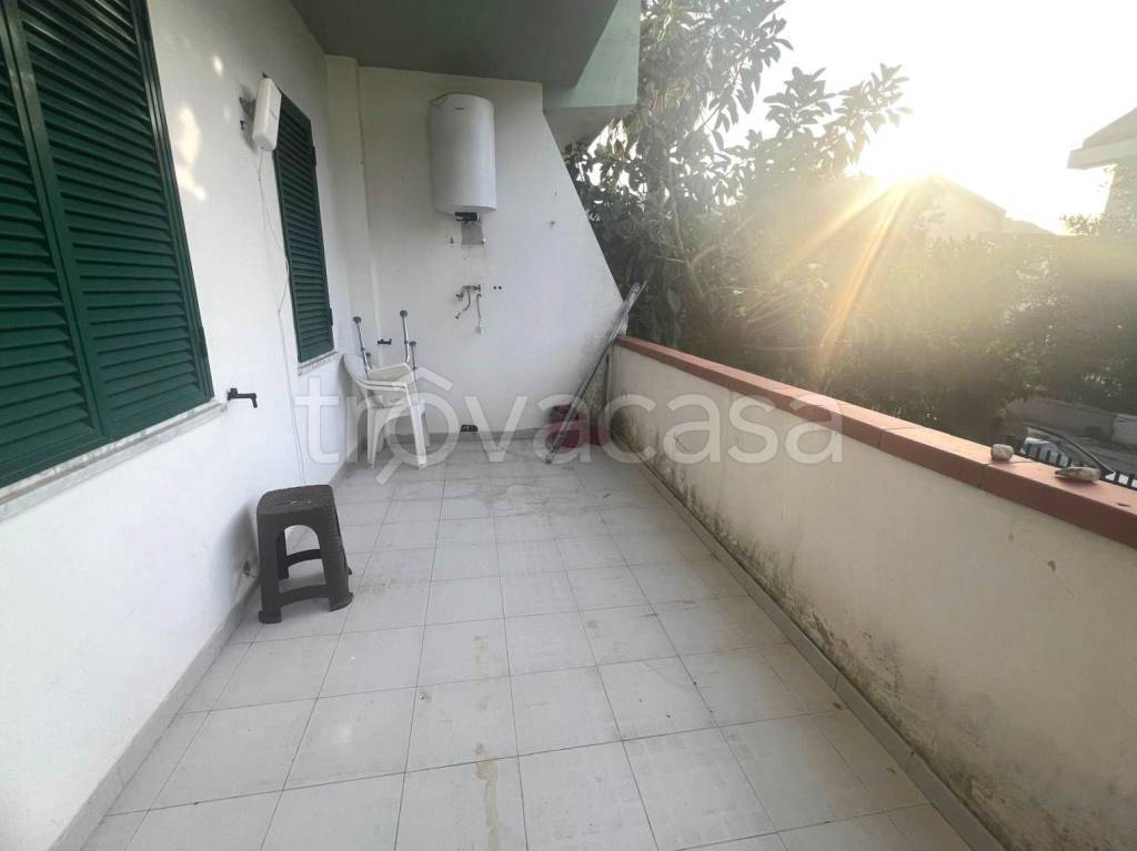 immagine annuncio 7 di 9