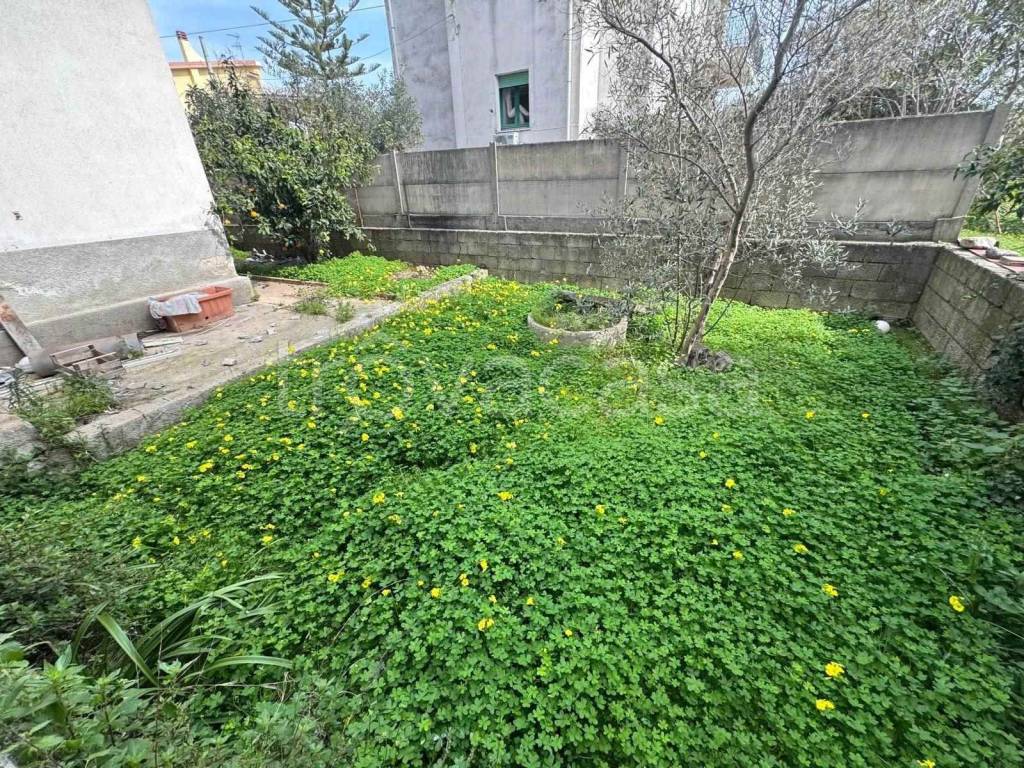 immagine annuncio 2 di 8