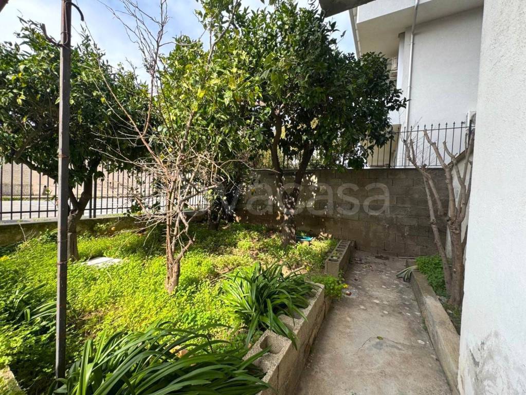 immagine annuncio 3 di 8