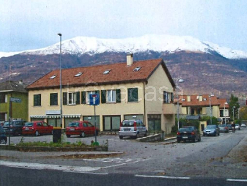 immagine annuncio 3 di 10