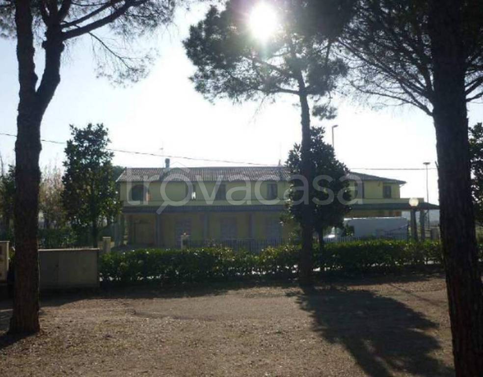 immagine annuncio 4 di 13