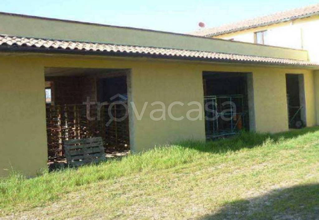 immagine annuncio 12 di 13