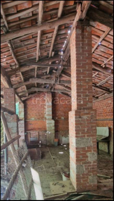 immagine annuncio 12 di 14