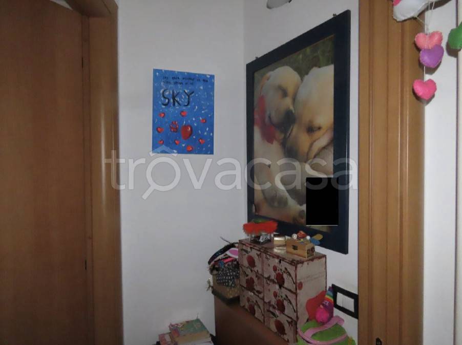 immagine annuncio 7 di 12