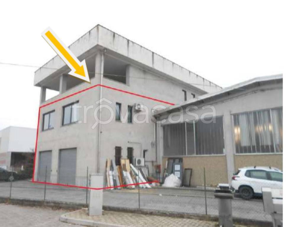 immagine annuncio 5 di 11