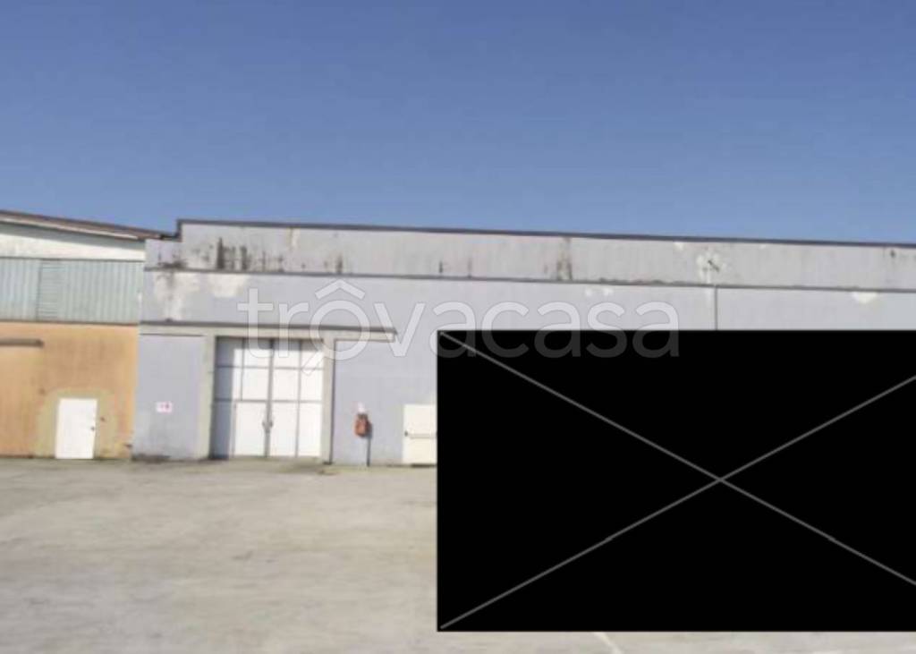 immagine annuncio 7 di 12