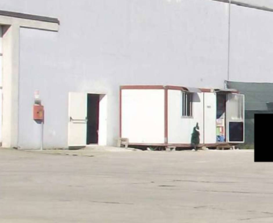 immagine annuncio 10 di 12