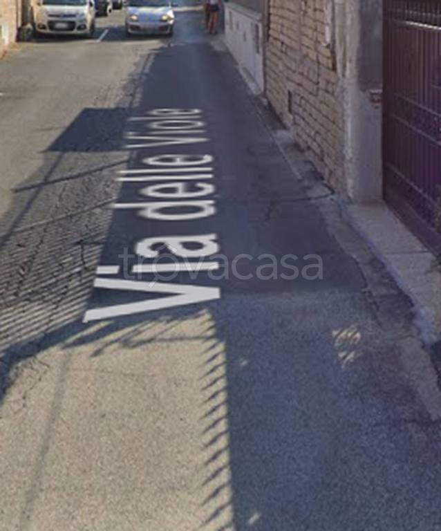 immagine annuncio 4 di 11