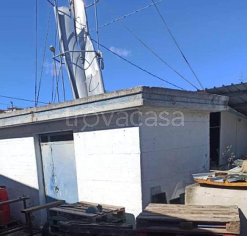 immagine annuncio 2 di 11