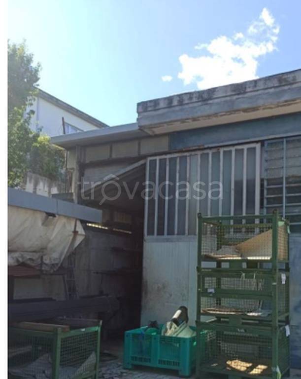 immagine annuncio 4 di 11