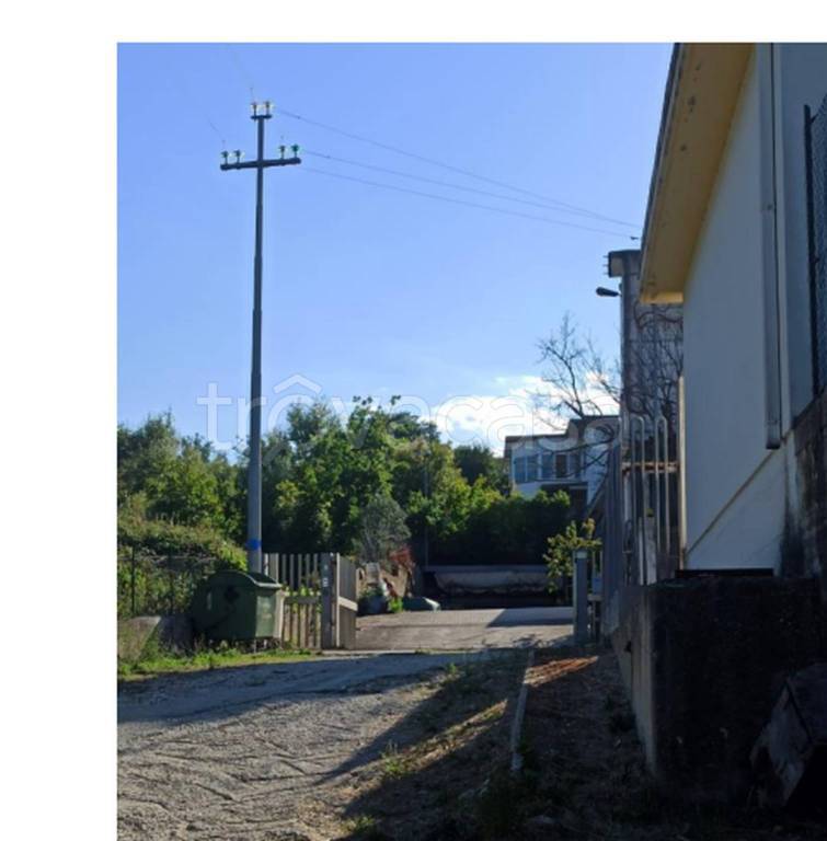 immagine annuncio 5 di 11