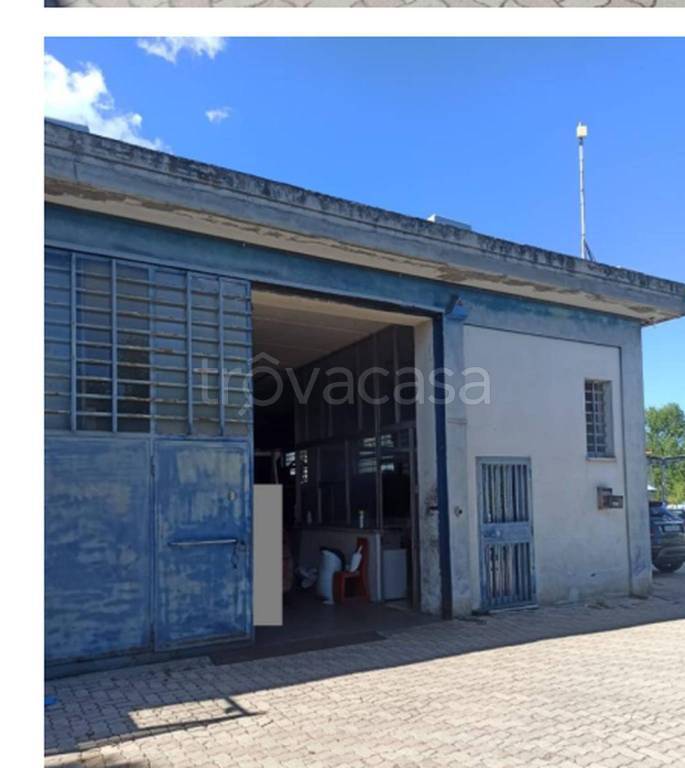 immagine annuncio 6 di 11