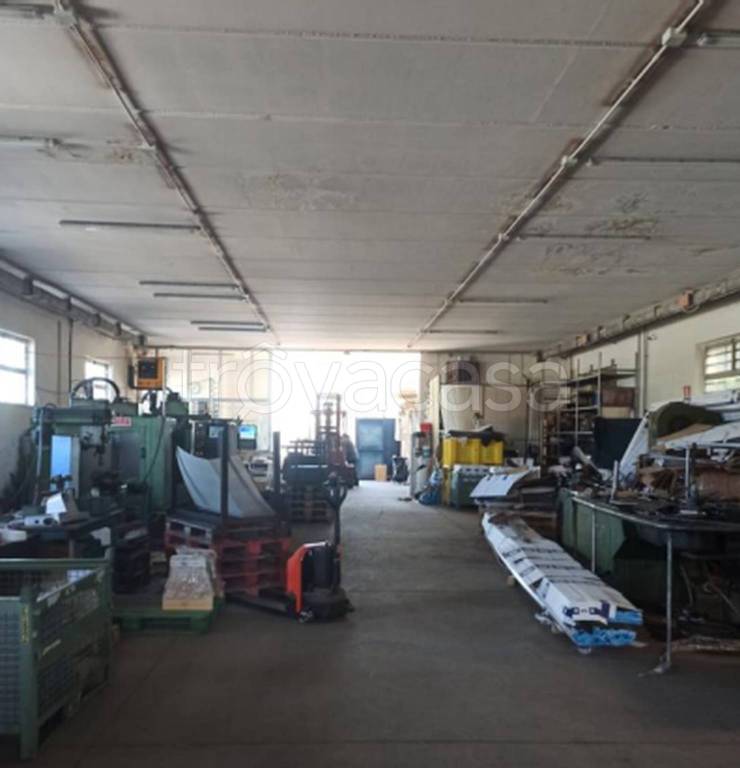 immagine annuncio 10 di 11