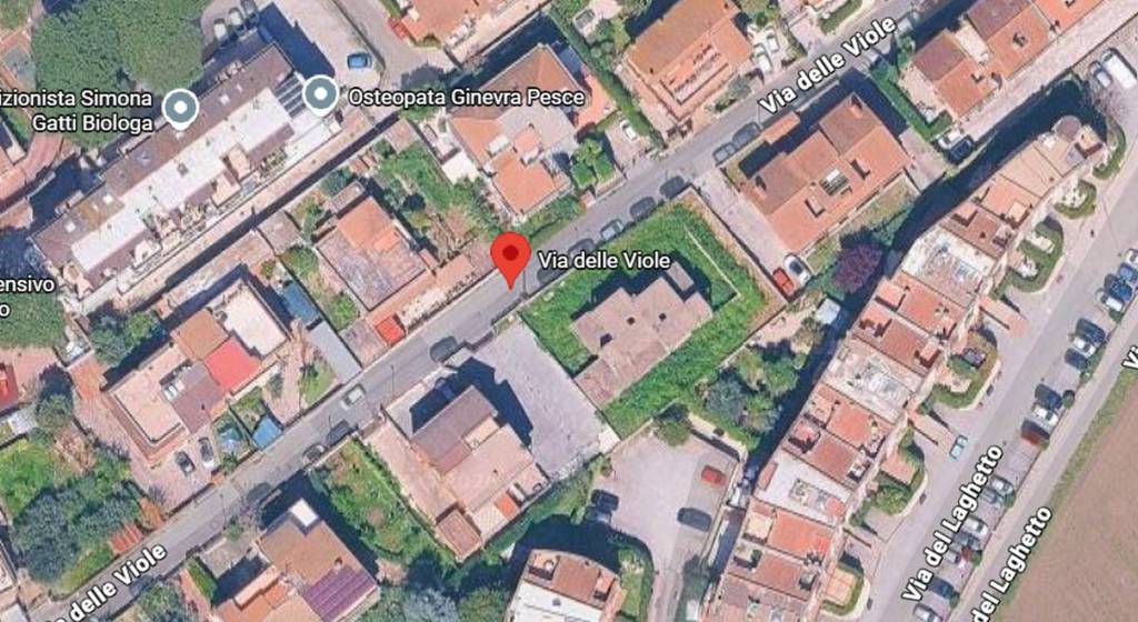 immagine annuncio 4 di 11