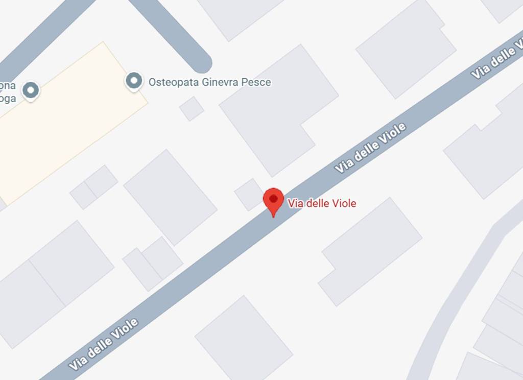 immagine annuncio 5 di 11