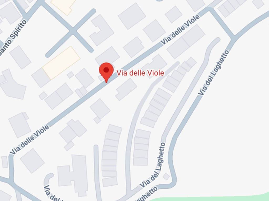 immagine annuncio 6 di 11