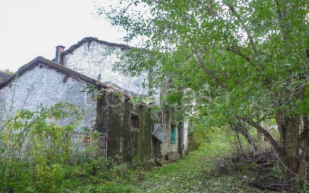 immagine annuncio 4 di 11