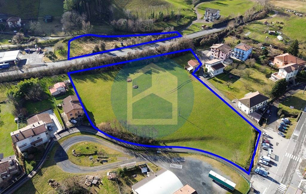 immagine annuncio 2 di 7