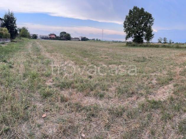 immagine annuncio 4 di 9