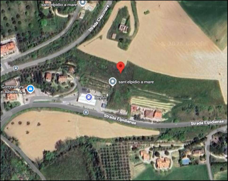 immagine annuncio 11 di 12