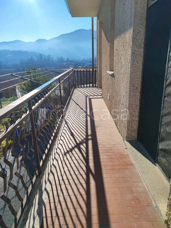 immagine annuncio 11 di 14