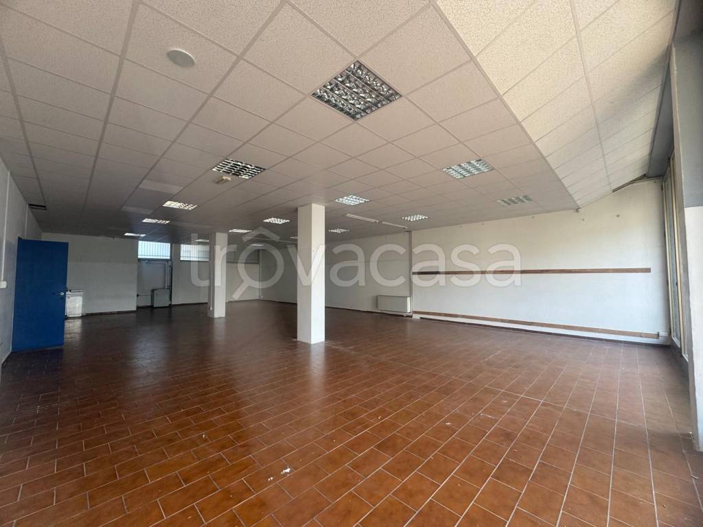 immagine annuncio 2 di 6