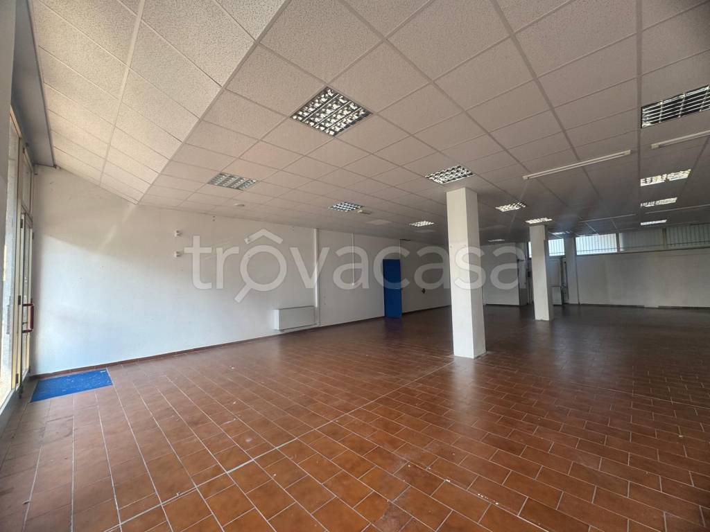 immagine annuncio 4 di 6