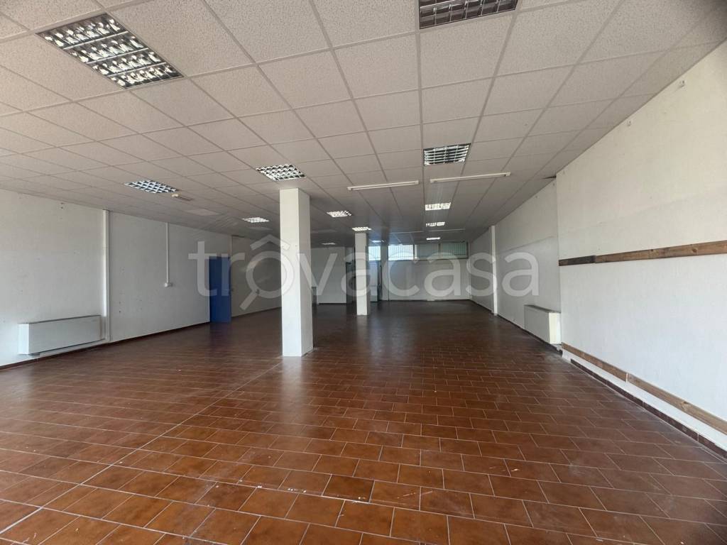 immagine annuncio 5 di 6