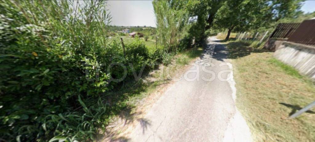 immagine annuncio 5 di 11