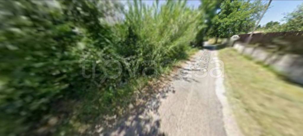 immagine annuncio 6 di 11