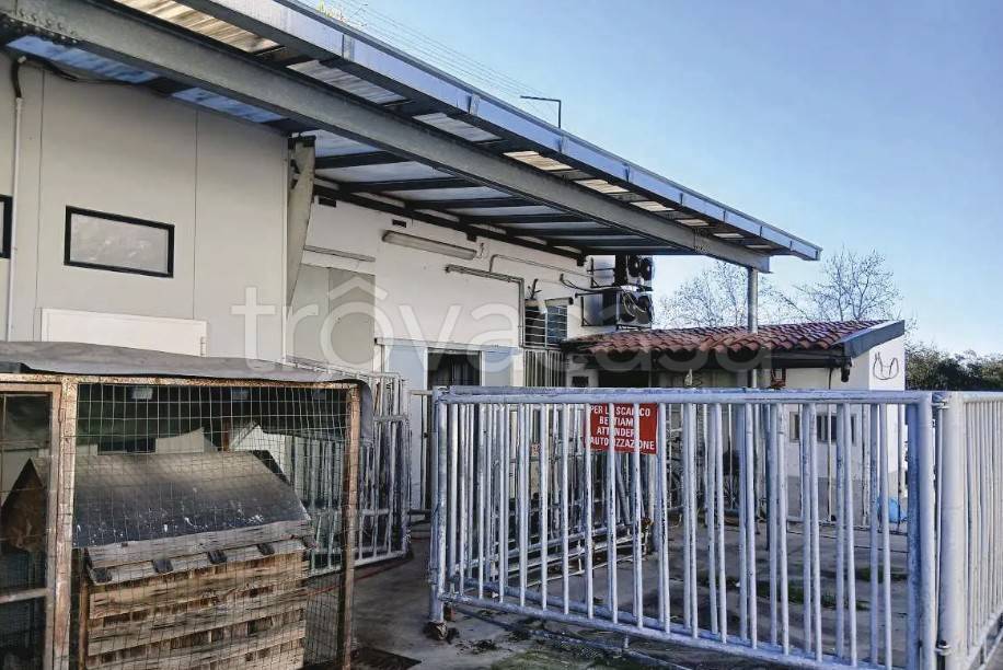 immagine annuncio 1 di 11