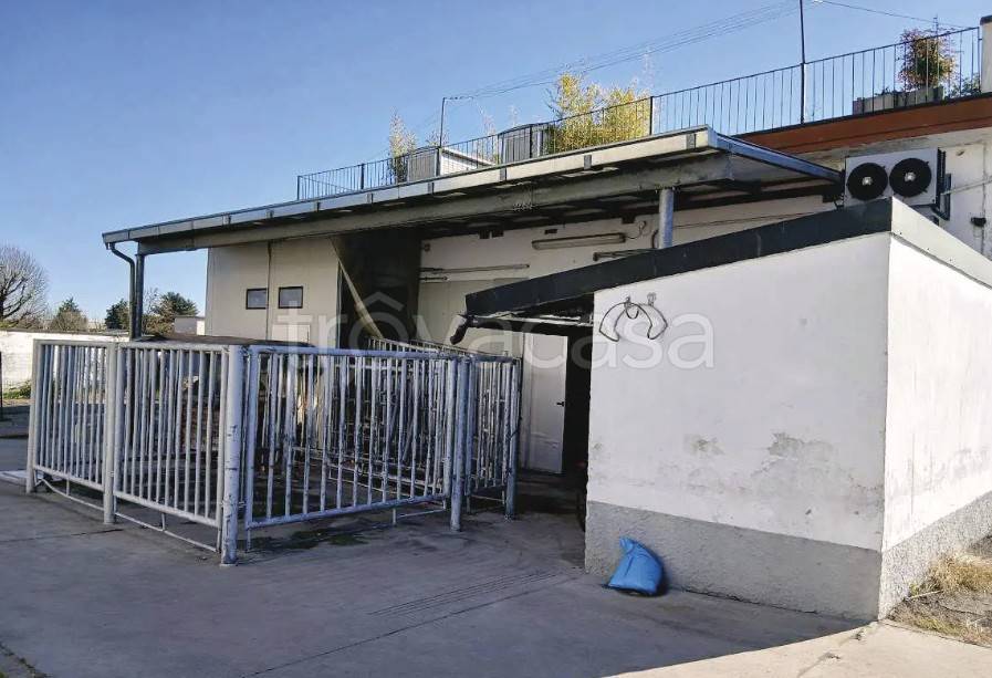 immagine annuncio 2 di 11