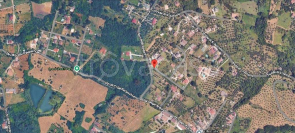 immagine annuncio 8 di 11