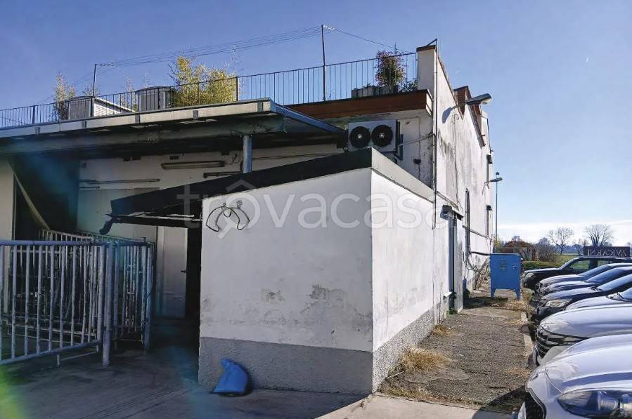 immagine annuncio 3 di 11