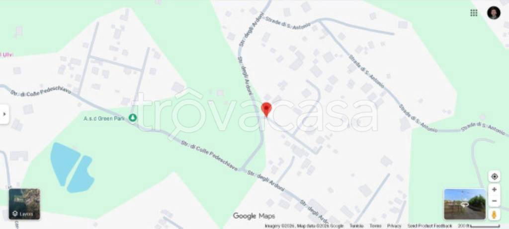 immagine annuncio 9 di 11