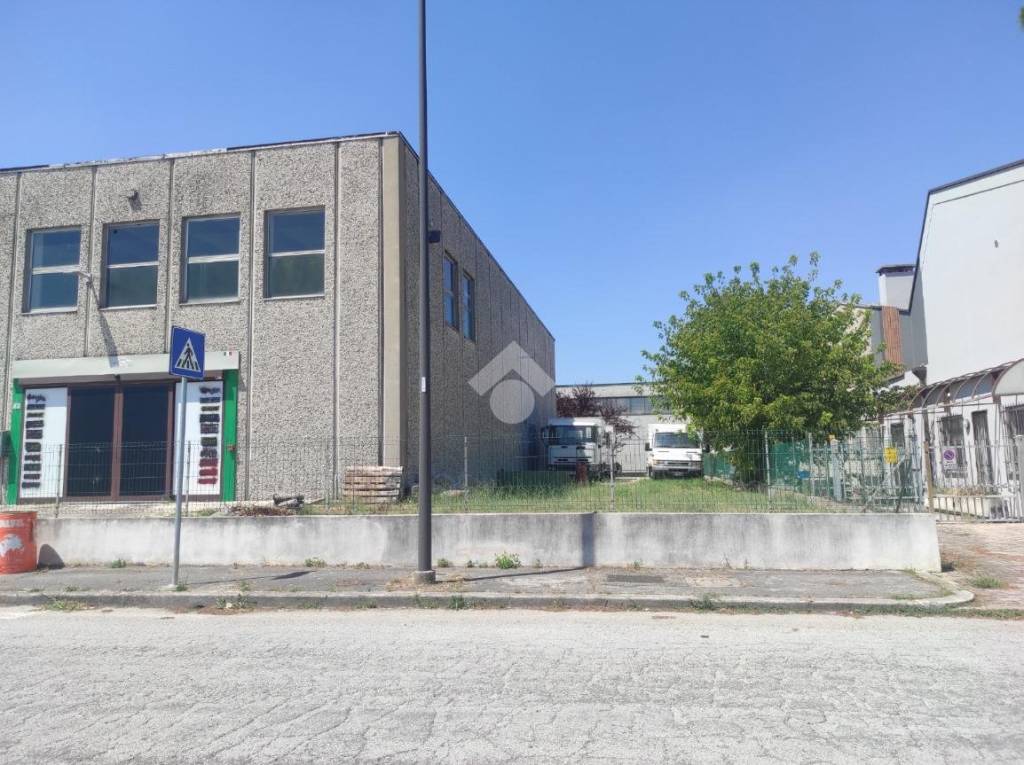 immagine annuncio 1 di 9