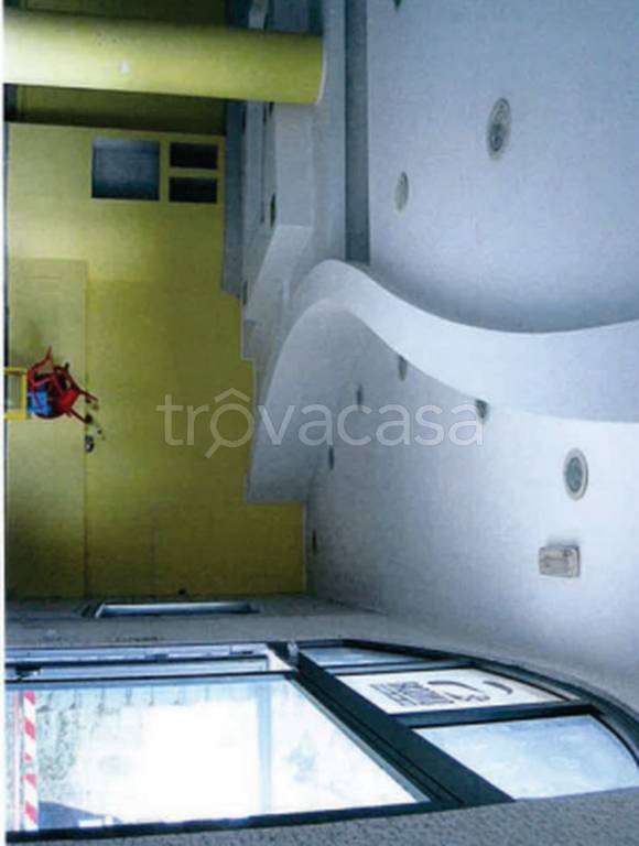 immagine annuncio 2 di 12