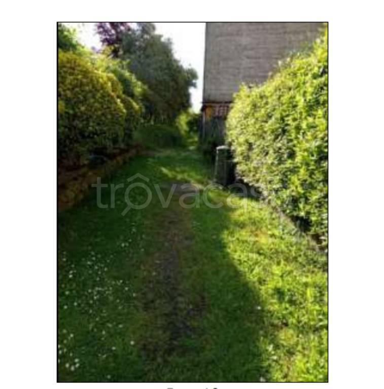 immagine annuncio 9 di 13