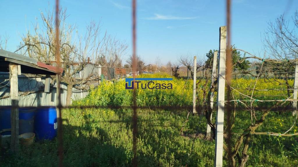 immagine annuncio 1 di 6