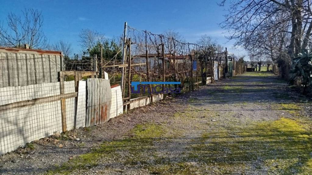 immagine annuncio 2 di 6