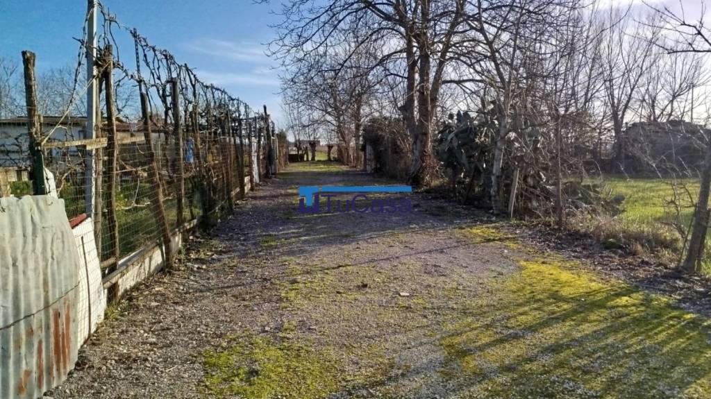 immagine annuncio 3 di 6