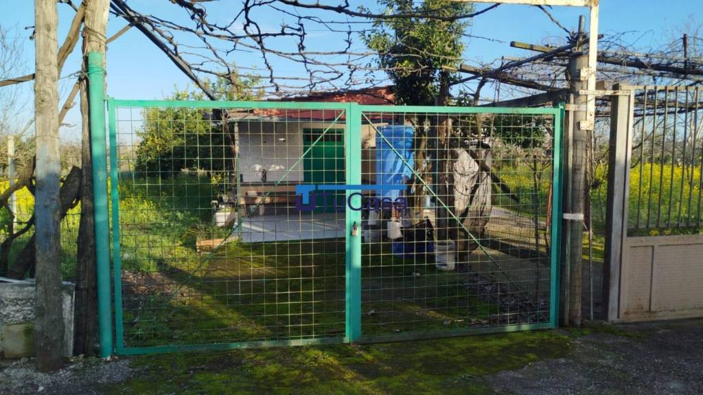 immagine annuncio 4 di 6