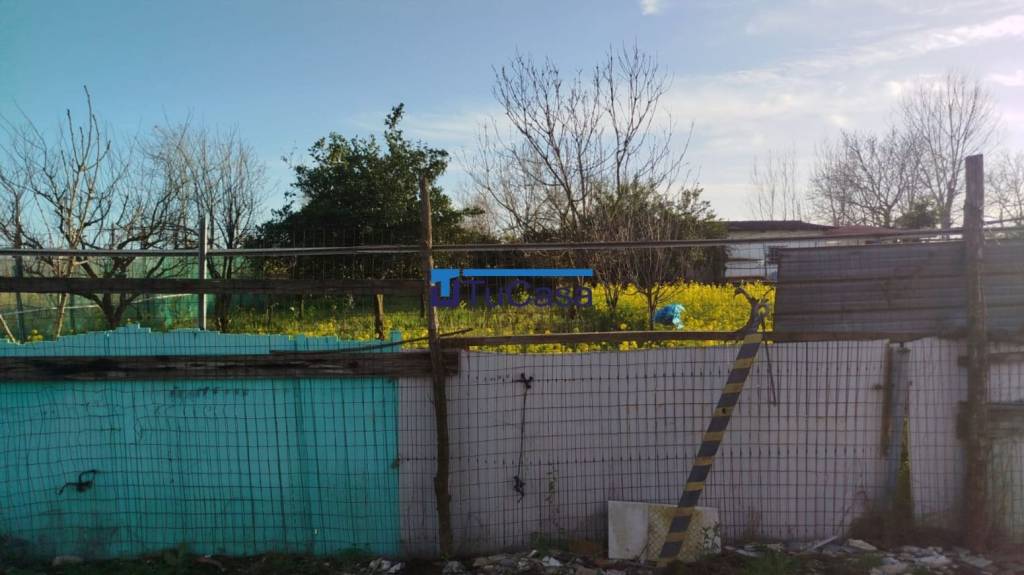 immagine annuncio 5 di 6