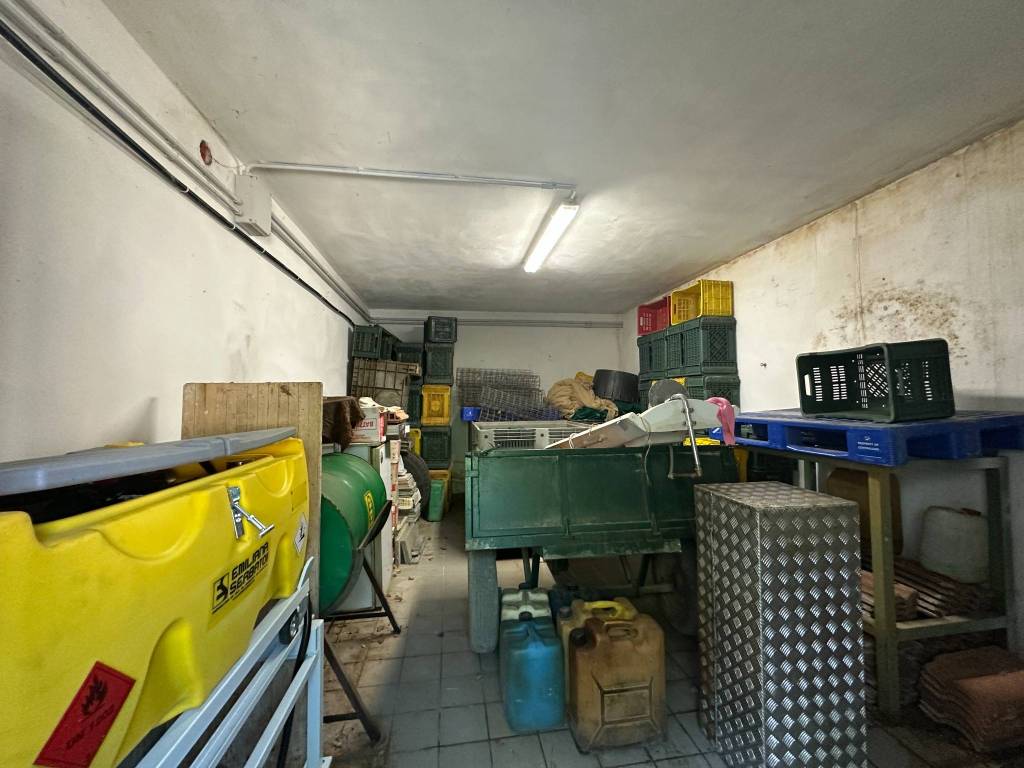 immagine annuncio 12 di 15