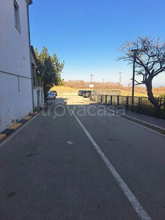 immagine annuncio 12 di 14