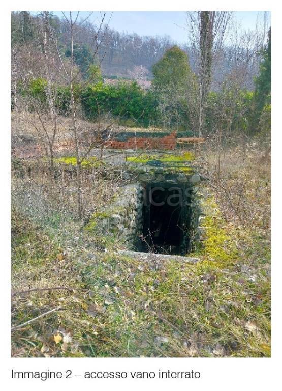 immagine annuncio 1 di 7