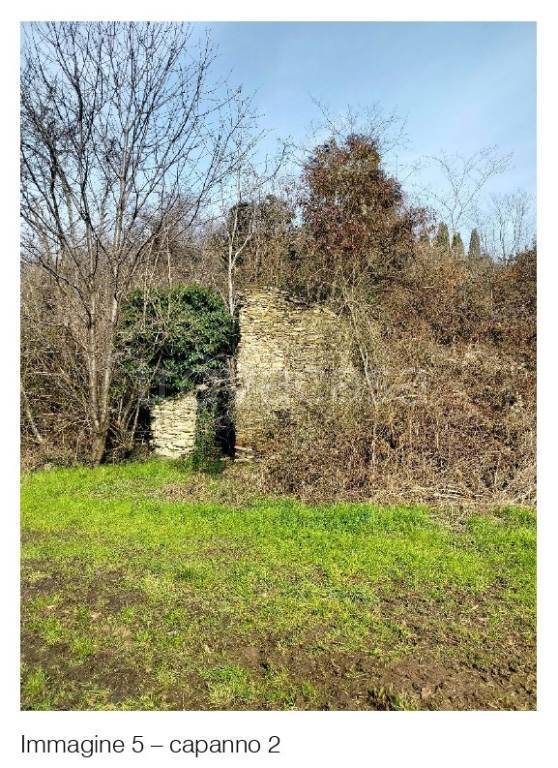 immagine annuncio 4 di 7